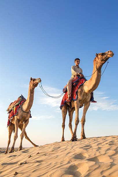 Camel Safari experience